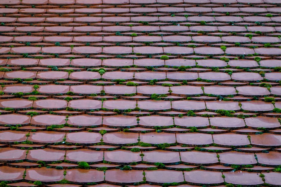 Mousse installée dans les joints d'une toiture en tuiles plates